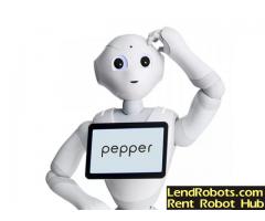 Robot Rentals