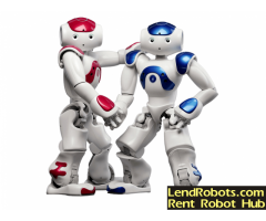 Rent Robot Nao